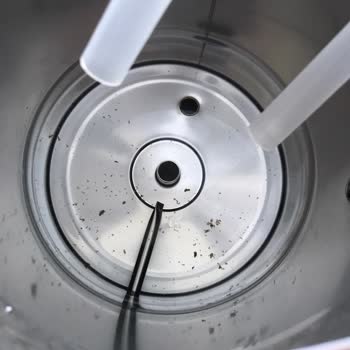 Bosch Dispensador de Agua Produce Algas Negras