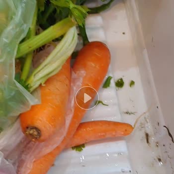 Bosch KGN86AID2N Refrigerador con Fugas de Agua