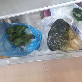 Bosch Refrigerador Congela la Comida en Lugar de Enfriarla