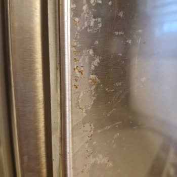 Mi Refrigerador Bosch Se Oxida y Me Cobran ₺6000 por Reemplazo