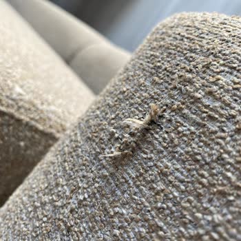 Modalife Mobilya Koltuk Takımı Sorunları Ve İlgisizlik