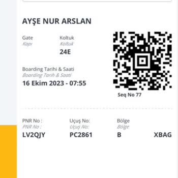 Pegasus Airlines: Mal Servicio al Cliente y Vuelo Perdido