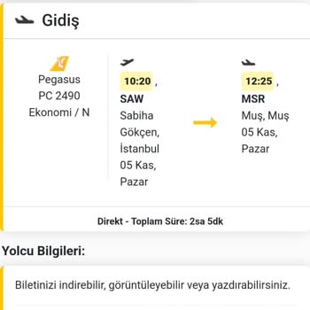 Pegasus Airlines: Problemas con el Check-In