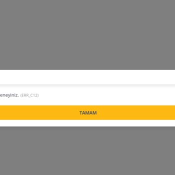 Problema con el documento de viaje de Pegasus Airlines (ERR_C12)