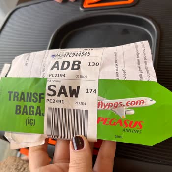 Pegasus Airlines: Maltrato a mi gato durante el vuelo