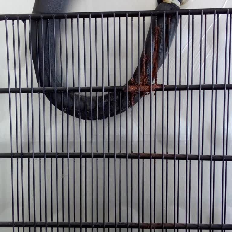 Beko Congelador Problema de Diseño Costoso de Reparar