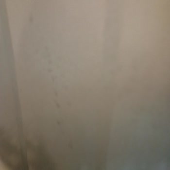 Beko Lavavajillas Descolorido