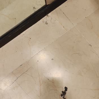 Probadores Polvorientos en Zara - Bornova Forum