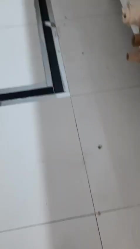 Adidas Ozmillen Zapatos Hacen Ruido al Caminar Portada de vídeo