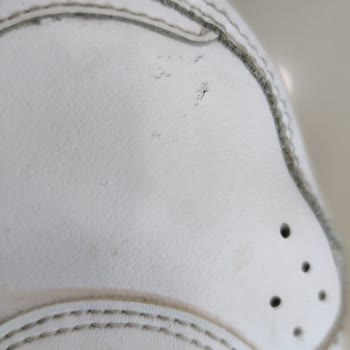 Nike Defyallday: Problemas con la calidad y garantía del producto