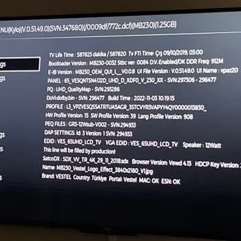 Problemas con la app del televisor Vestel de 65 pulgadas