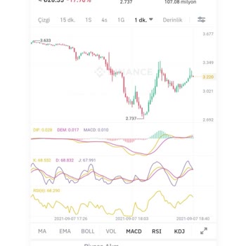 Binance: Pérdida por ventas canceladas y soporte inactivo