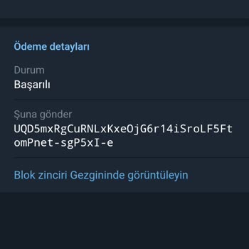 Retraso en retiro de Notcoin en Binance. Mis monedas no acreditadas en 24 horas
