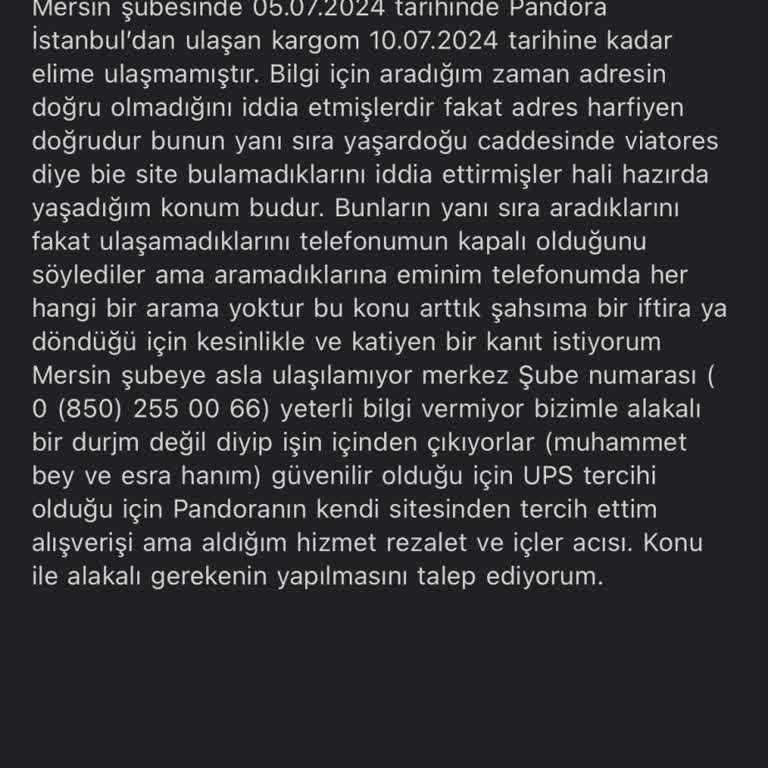UPS Cargo: Entrega Retrasada y Problemas de Dirección