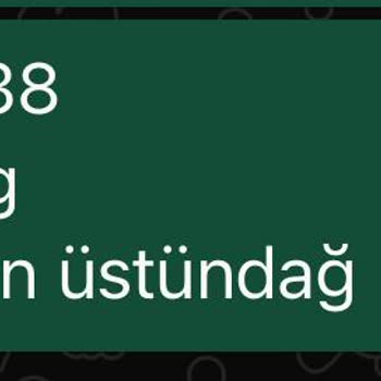 Problema con el check-in en línea de SunExpress Airlines
