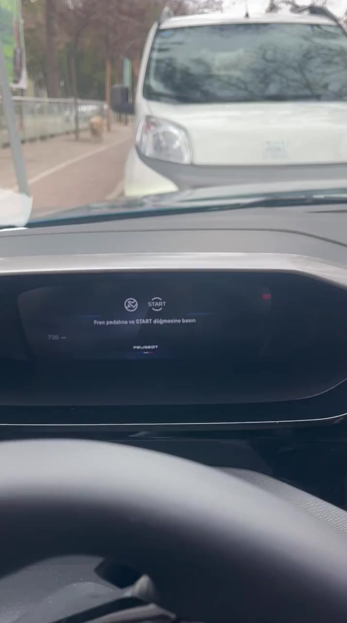 Peugeot 308 Pantalla en Negro y Fallo del Motor Portada de vídeo