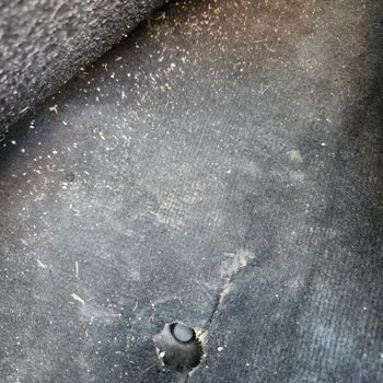 Problemas con mi Peugeot 508 2019: Descascarado de pintura y fallas interiores