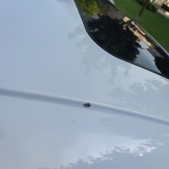 Problemas de Descascarado de Pintura en mi Opel Insignia Sport 2016