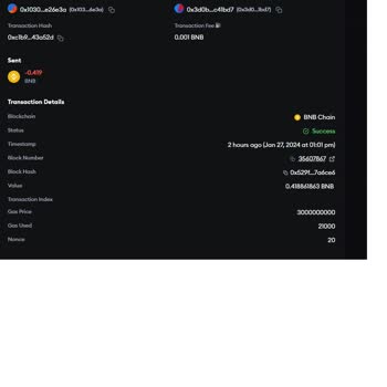 Golden Inu y BNB desaparecieron de mi Trust Wallet