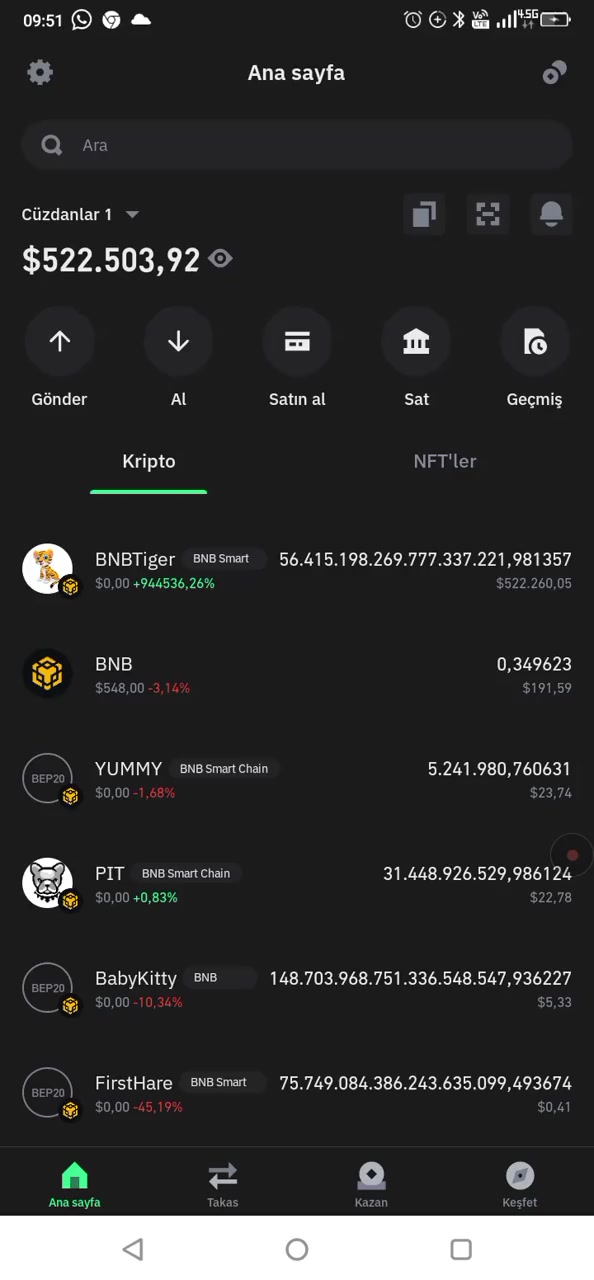 Trust Wallet BNB Tiger Inu Aumento de Precio y Fallo en Swap Portada de vídeo