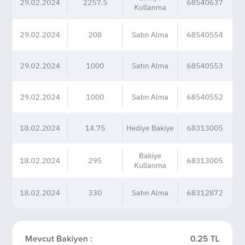 Domino's Pizza: Retraso en el Reembolso de la Billetera