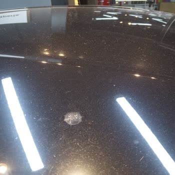 Pintura del Ford Puma burbujea por excrementos de aves