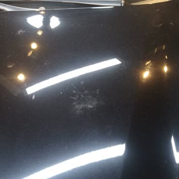 Pintura del Ford Puma burbujea por excrementos de aves