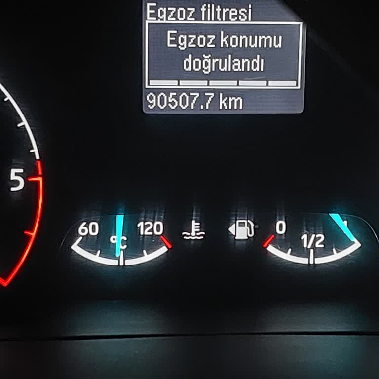 Ford Custom 2021 muestra 'AdBlue Limpieza de Escape Verificada'
