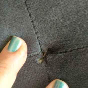 Vivense Sofá con Desgarros en 10 Días de Uso