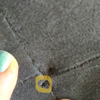 Vivense Sofá con Desgarros en 10 Días de Uso