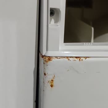 Profilo CGA242X0TR Lavadora Oxidada en 2 Años