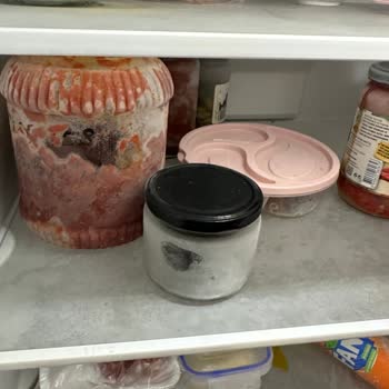 Problema con el refrigerador Profilo desde el primer día