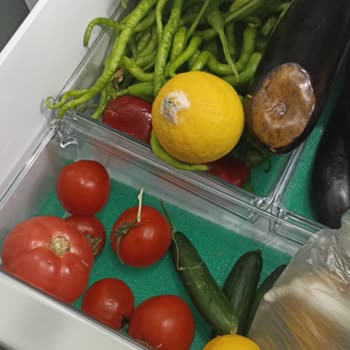 Mi experiencia con el refrigerador Profilo