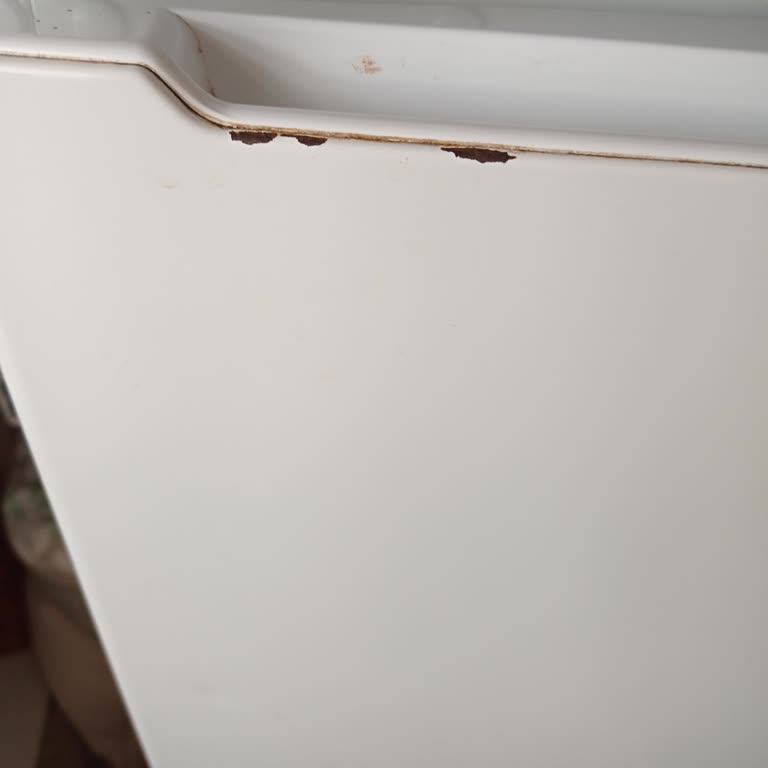 Mango de mi refrigerador Profilo con pintura descascarada y óxido