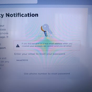 Problema para Restablecer Contraseña de Roblox