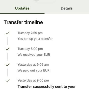 Retraso en Transferencia Wise - Fondos No Aparecen en Mi Cuenta