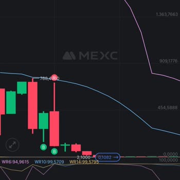 Mexc Exchange: Pérdida de Valor de Tokens Comprados