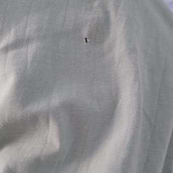 Lavadora Siemens Daña Ropa
