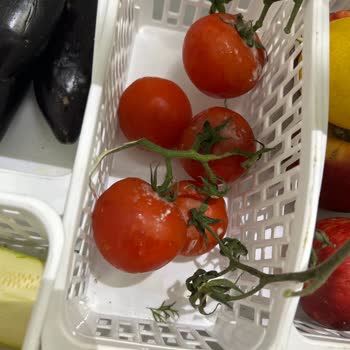 Siemens KG76NAI32N Refrigerador Problema de Pudrición de Vegetales y Frutas