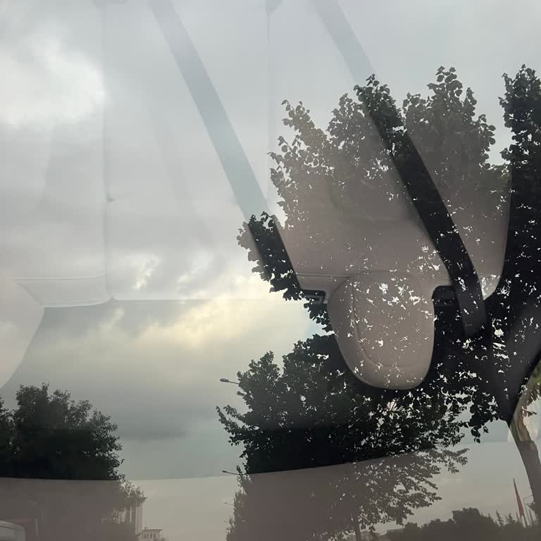 Tesla Model Y Techo de Vidrio Agrietado: Solicitud de Reemplazo en Garantía