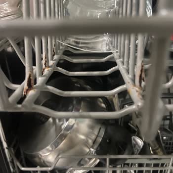 Teka DW 605S VR01 Lavavajillas: Problema de Óxido Extendido