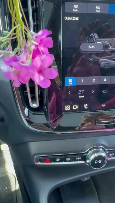 Volvo C40 Problemas Persistentes en Vehículo Eléctrico Portada de vídeo