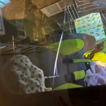 Noté una grieta en el techo solar de mi Skoda Kamiq