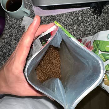 Farmina N&D Comida para Gatos - Mi Gato se Enfermo por Comida Echada a Perder