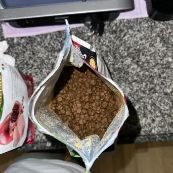 Farmina N&D Comida para Gatos - Mi Gato se Enfermo por Comida Echada a Perder
