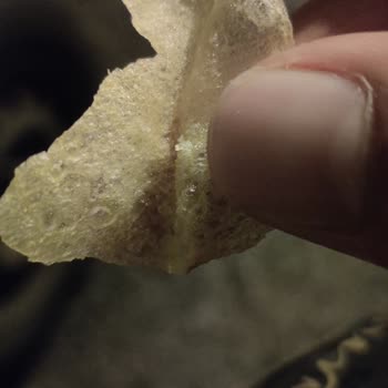 Trozo de vidrio en Lay's Gourmets Corte Fino