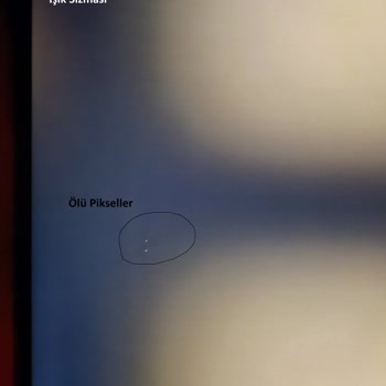 Monitor Viewsonic XG2431 con píxeles muertos y fuga de luz