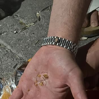 Encontré Objetos Desagradables en Mis Doritos Chips