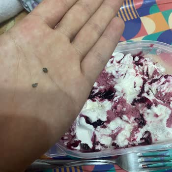 Helado Carte d'Or Fruit Delight - Piedras Encontradas en el Producto