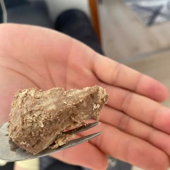 Seyidoğlu Gıda Seyidoğlu Helvanın İçinden Kıl Çıktı